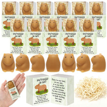 Wettarn 75 Sets Appreciation Gifts Cute Stress Balls with Support Boxes Bulk Party Favors for Employee Coworker Team Group Stuffers Office Prizes Positive Desk Decor