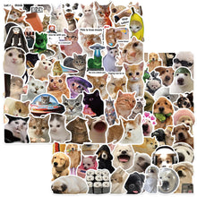 Cat Meme Stickers, Funny Cat Stickers for Journaling Adults Kawaii,Cute Waterproof Vinyl Sticker for Water Bottles Laptops 50Pcs