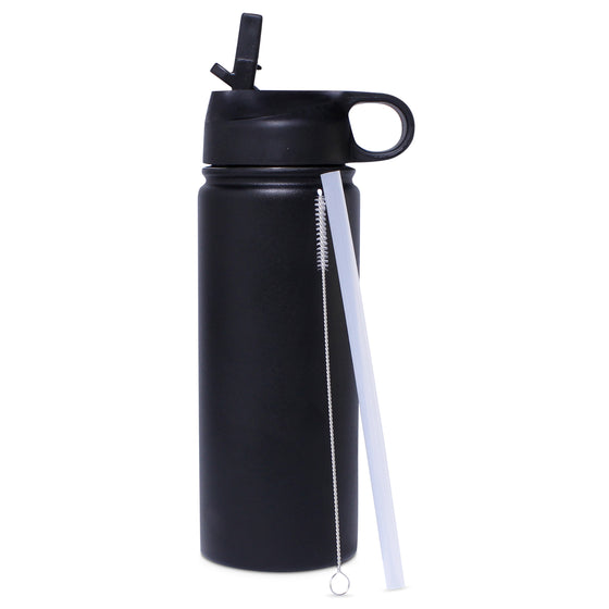 Insulated 550ml Stainless Steel Bottle with Straw & Brush