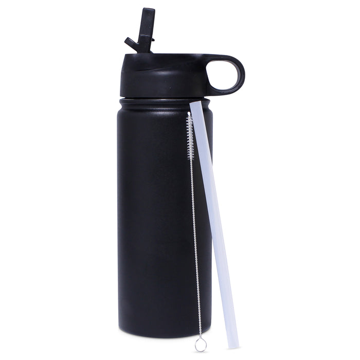 Insulated 550ml Stainless Steel Bottle with Straw & Brush