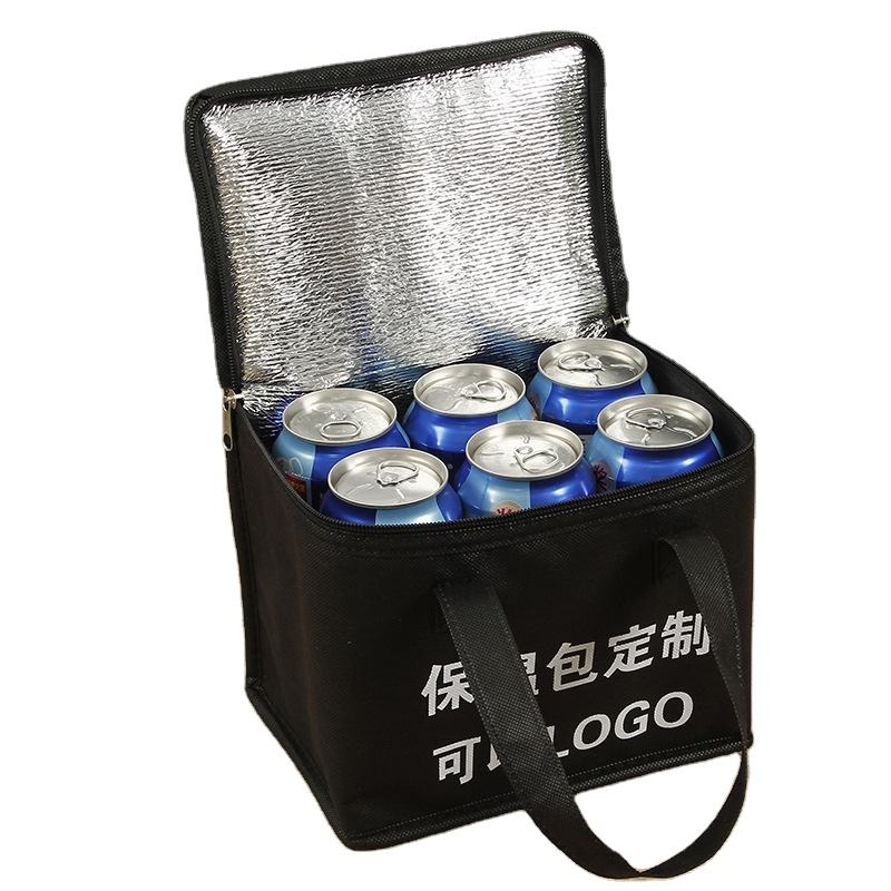 Small Eco Thermal Cooler Bag