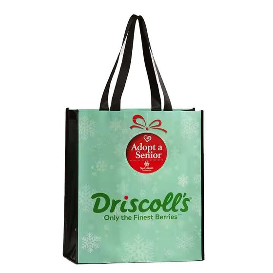 FullColor Portrait Laminated Non-Woven Bag - hover image
