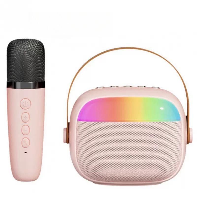 GoKaraoke Portable Speaker Set