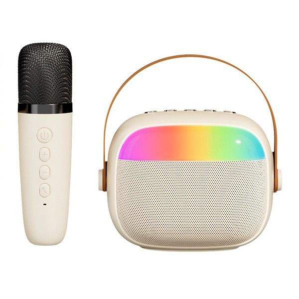 GoKaraoke Portable Speaker Set