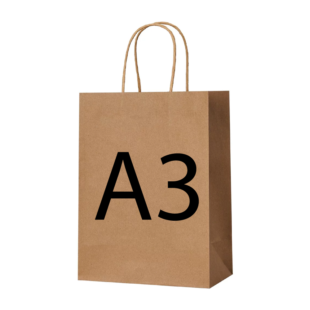 A3 Portrait Kraft Paper Bag
