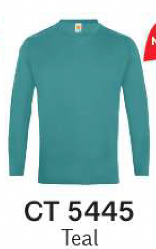 CT54 Plain Cotton Long Sleeve T-Shirt (Unisex)