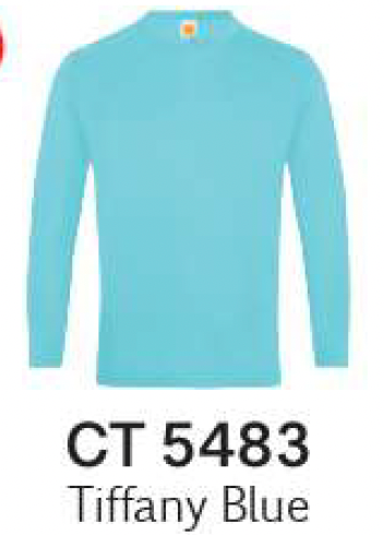CT54 Plain Cotton Long Sleeve T-Shirt (Unisex)