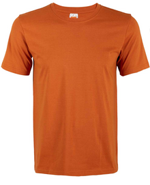 CT51 Comfy Cotton Short Sleeve T-Shirt (Unisex)