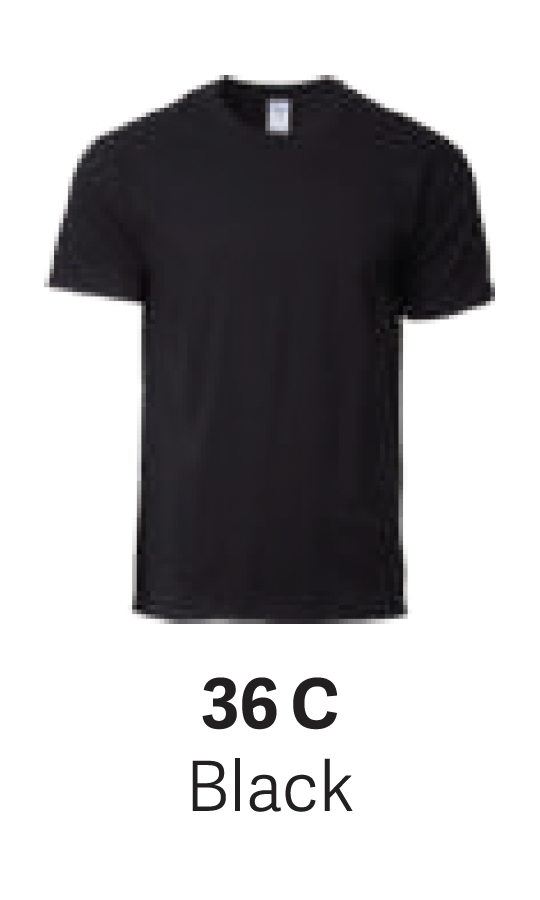GD76000 Premium Cotton T-Shirt (Unisex)