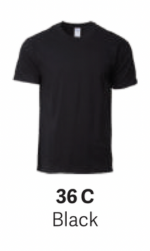 GD76000 Premium Cotton T-Shirt (Unisex)