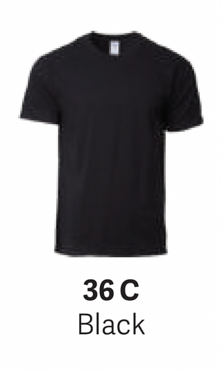 GD76000 Premium Cotton T-Shirt (Unisex)