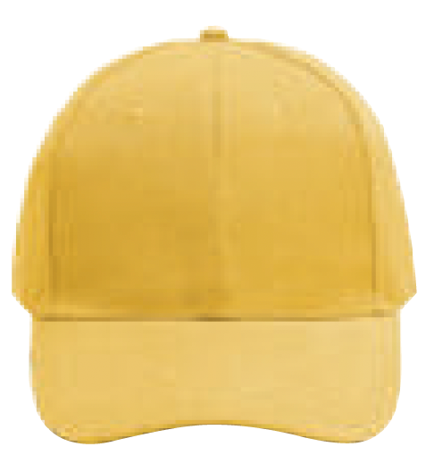 NHC1100 Classic Baseball Cap