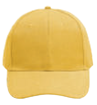 NHC1100 Classic Baseball Cap