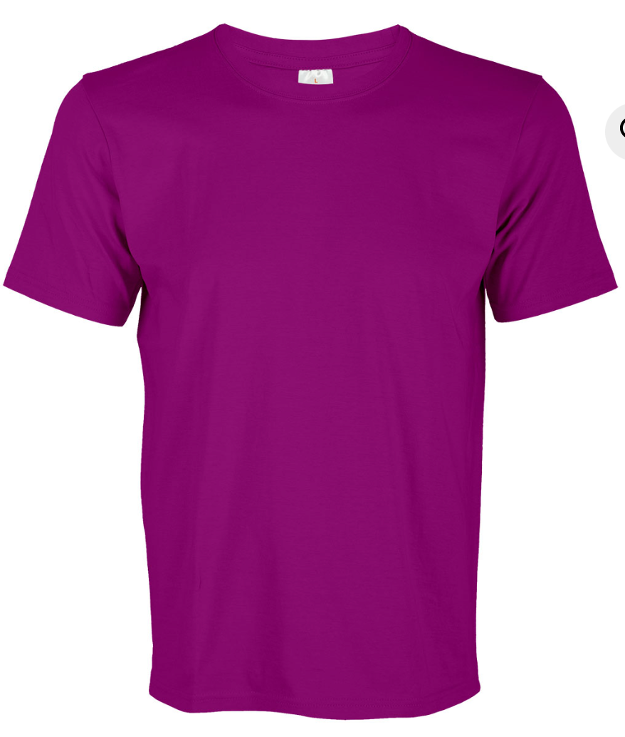 CT71 Superb Cotton Short Sleeve T-Shirt (Unisex)