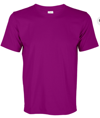 CT71 Superb Cotton Short Sleeve T-Shirt (Unisex)