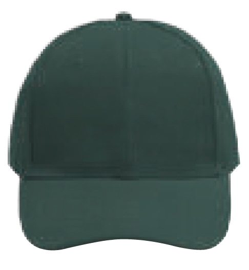 NHC1100 Classic Baseball Cap