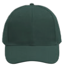 NHC1100 Classic Baseball Cap