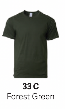 GD76000 Premium Cotton T-Shirt (Unisex)