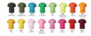 GD76000 Premium Cotton T-Shirt (Unisex)