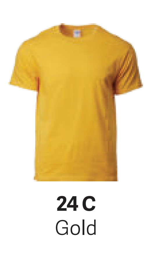 GD76000 Premium Cotton T-Shirt (Unisex)