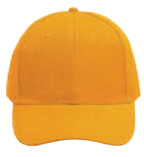 NHC1100 Classic Baseball Cap