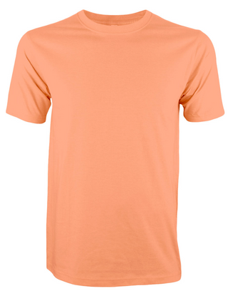 CT51 Comfy Cotton Short Sleeve T-Shirt (Unisex)