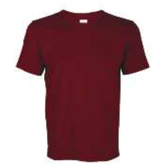 CT51 Comfy Cotton Short Sleeve T-Shirt (Unisex)