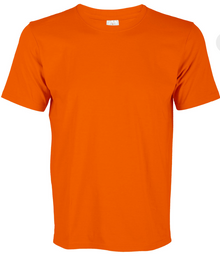 CT71 Superb Cotton Short Sleeve T-Shirt (Unisex)