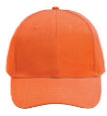 NHC1100 Classic Baseball Cap