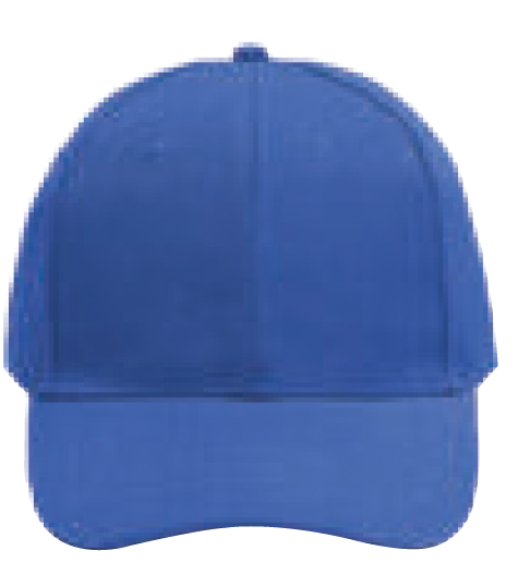 NHC1100 Classic Baseball Cap