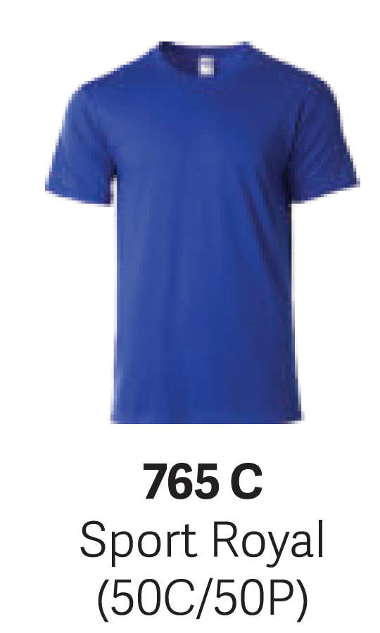 GD76000 Premium Cotton T-Shirt (Unisex)