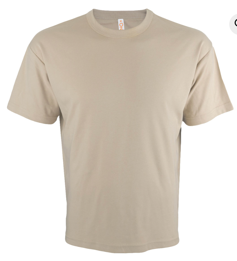 OT01 Oversized Short Sleeve T-Shirt (210gsm Unisex)