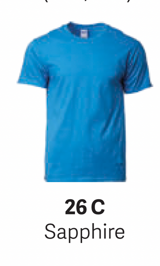 GD76000 Premium Cotton T-Shirt (Unisex)