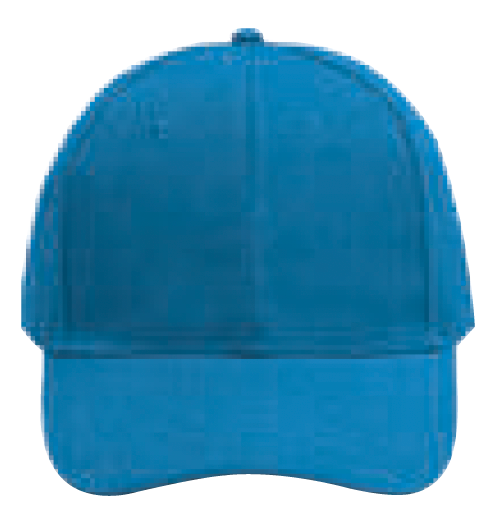 NHC1100 Classic Baseball Cap