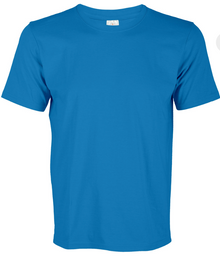 CT71 Superb Cotton Short Sleeve T-Shirt (Unisex)