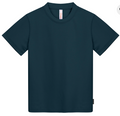 Slate Blue