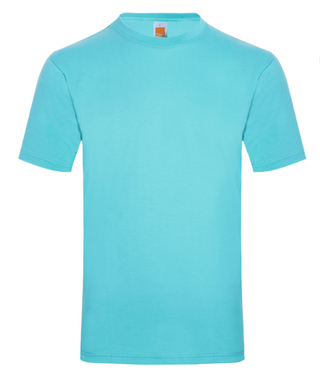 CT51 Comfy Cotton Short Sleeve T-Shirt (Unisex)