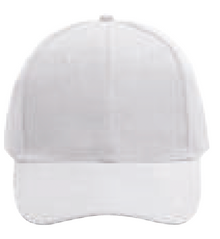 NHC1100 Classic Baseball Cap