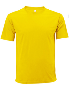 QD04 Plain Dri Fit Round Neck T-shirts (Unisex)