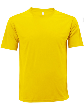 QD04 Plain Dri Fit Round Neck T-shirts (Unisex)