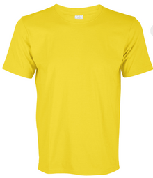 CT51 Comfy Cotton Short Sleeve T-Shirt (Unisex)