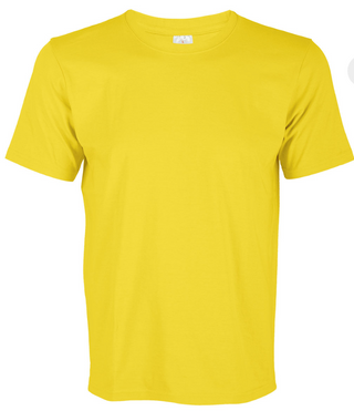 CT51 Comfy Cotton Short Sleeve T-Shirt (Unisex)
